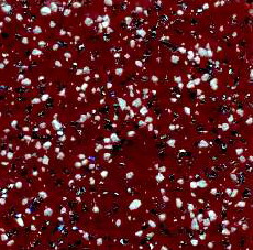 產品名稱Altro雅卓Strong hold30-廚房地板