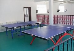 PVC室內乒乓球場地板